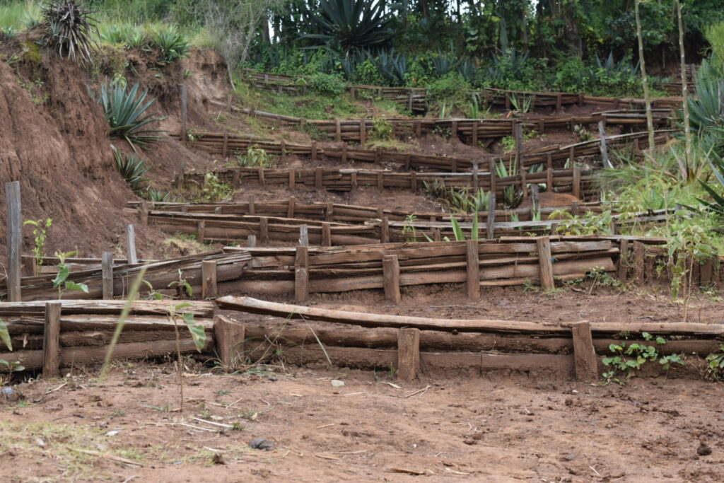 Ecohydrological structures 2