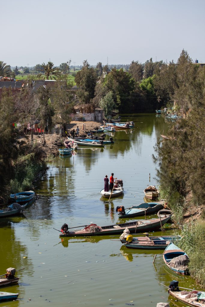 Burullus Lake