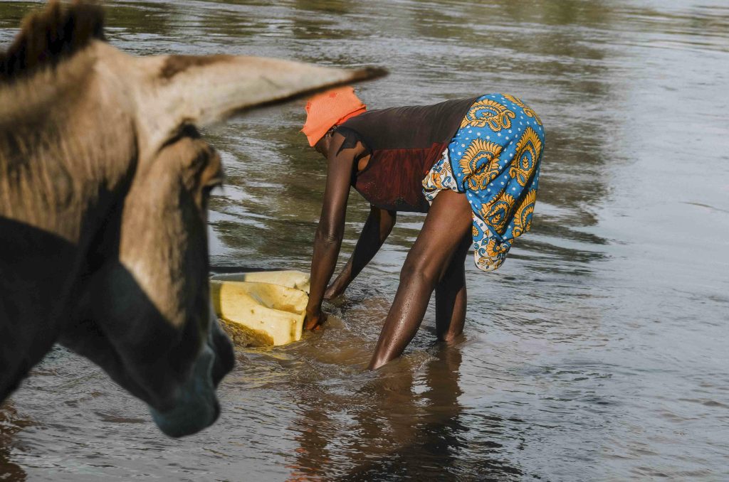 Mary Akinyi and donkey