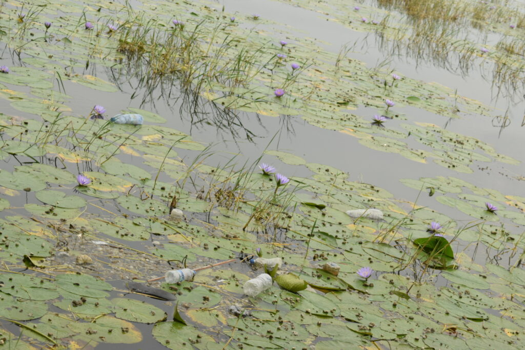 Polluted lake hawassa 2