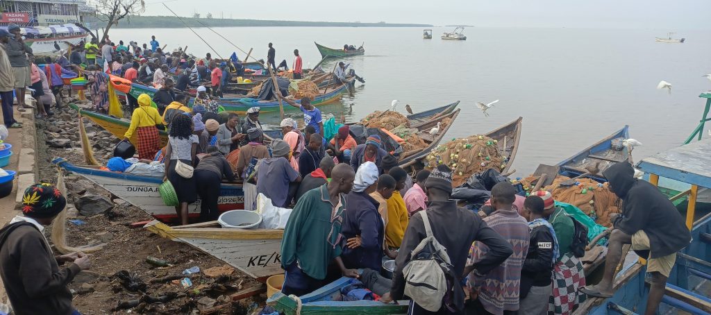 fishermen buying fish