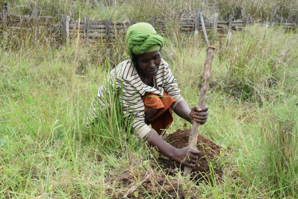 planting trees one woman 2