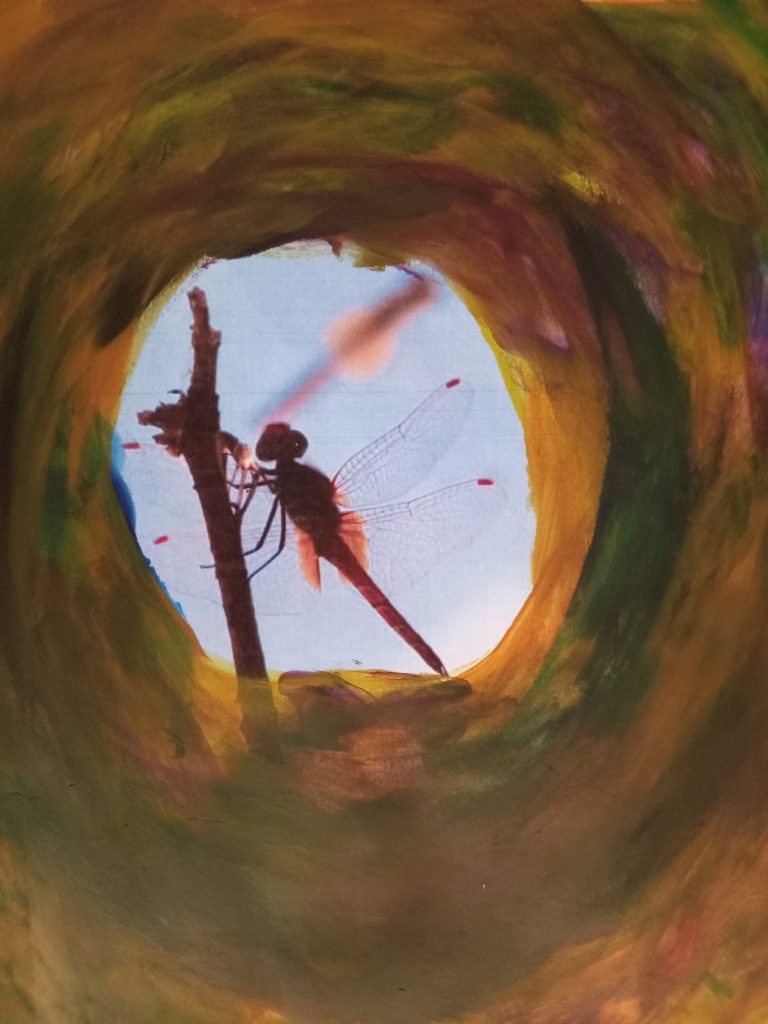 Dragon fly in a hole