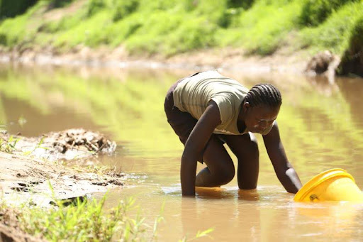 A woman fetches water from the polluted River Kibos in Kisumu