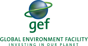 gef logo.png