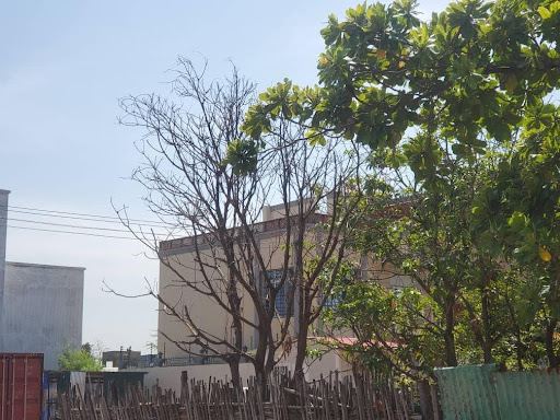 A withered tree