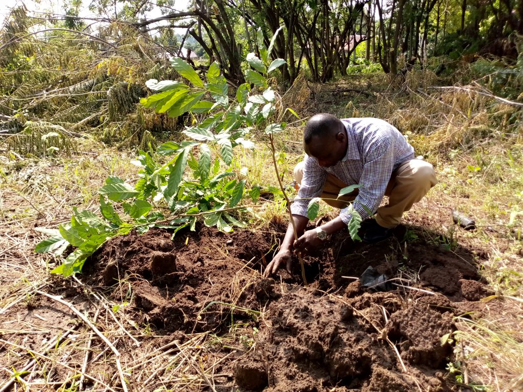 Diocesan Secretary Nasser Godfrey symbolizing tree planting earlier this year during environment week