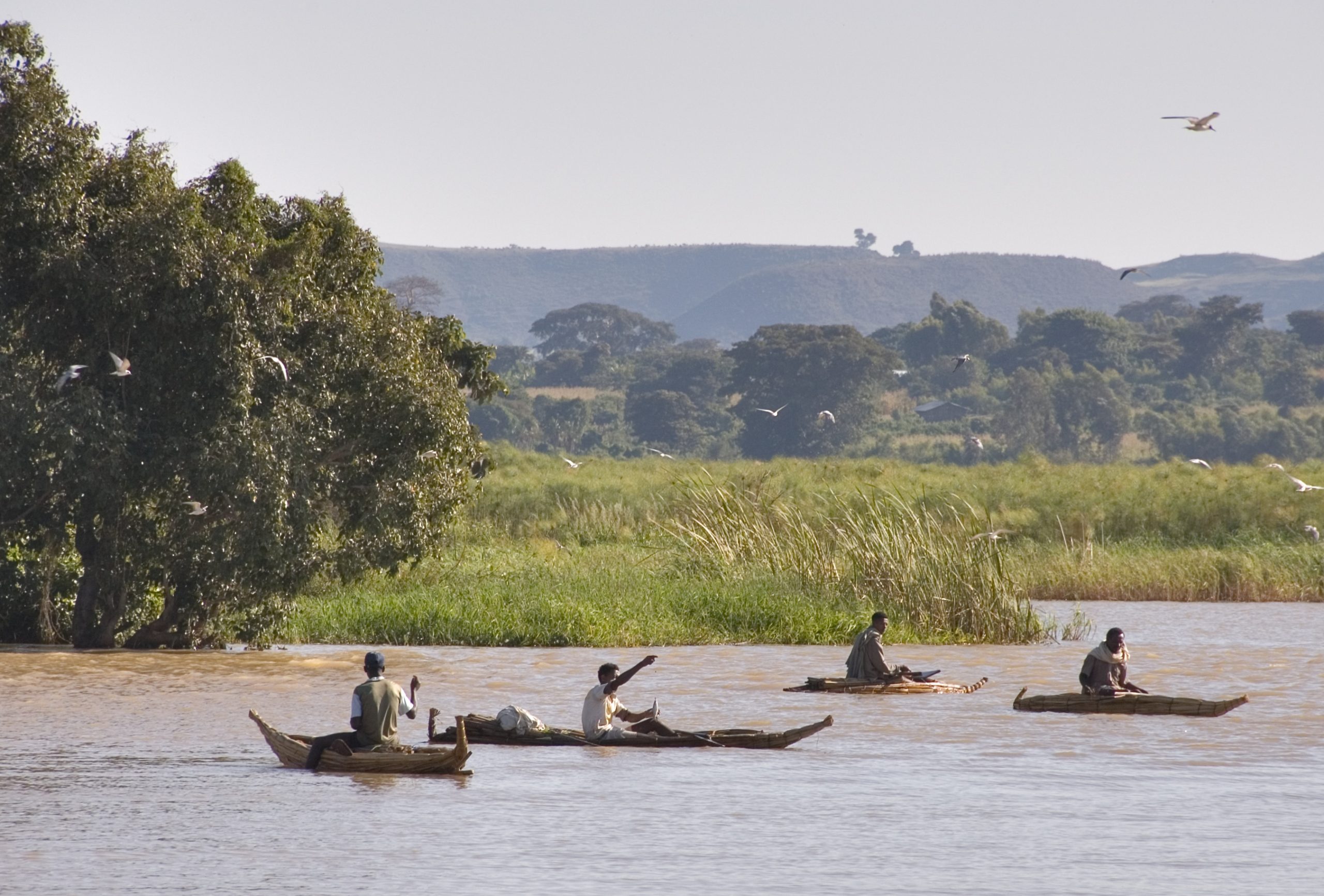 Lake Tana coproduction feature scaled 1