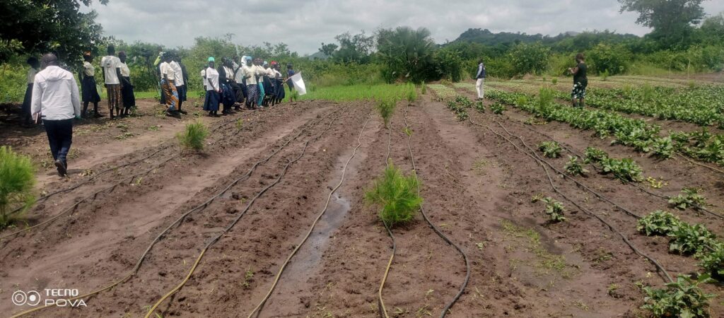 Members of Angili Women in their vegetables irrigated field @ 1360790979 1 scaled 1