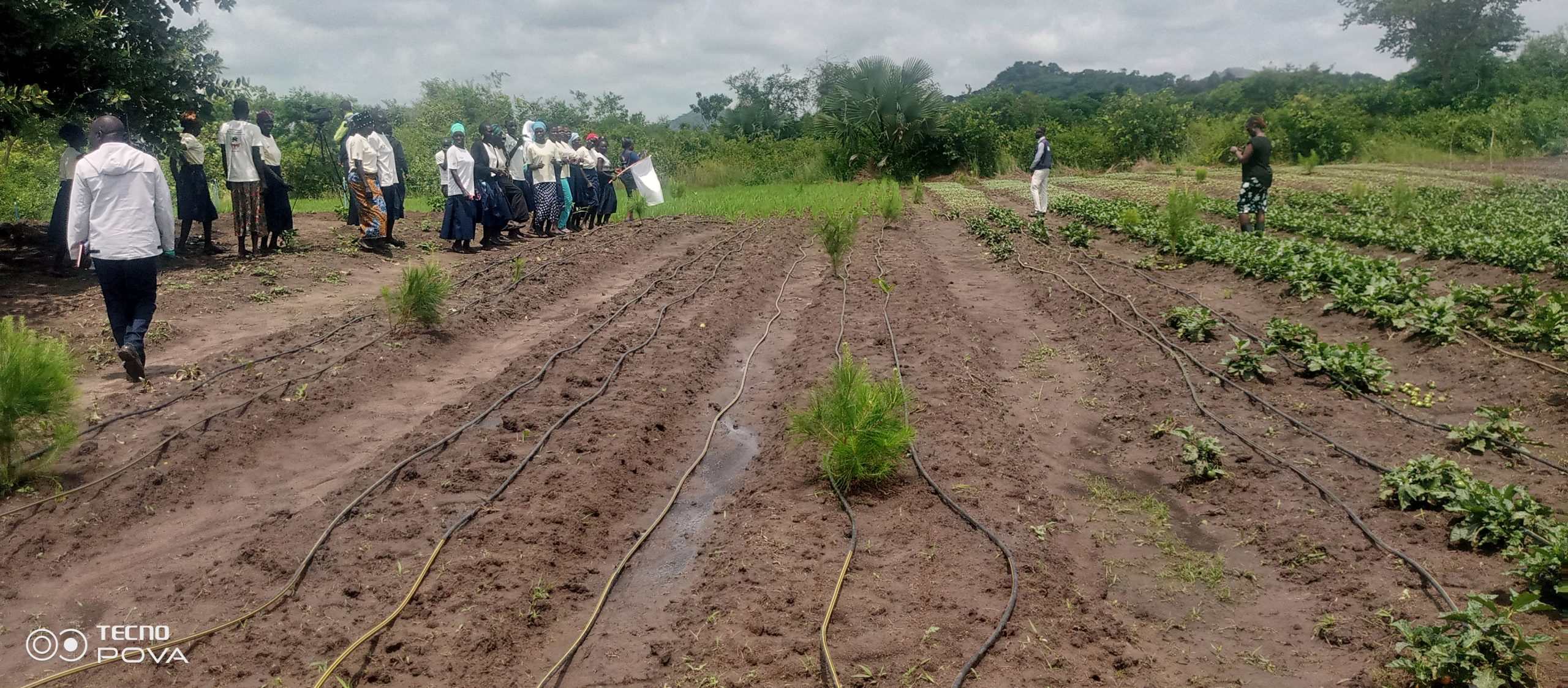 Members of Angili Women in their vegetables irrigated field @ 1360790979 1 scaled 1