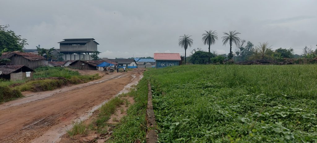 Path leading to the palm oil factory owned by PHC company in Boteka
