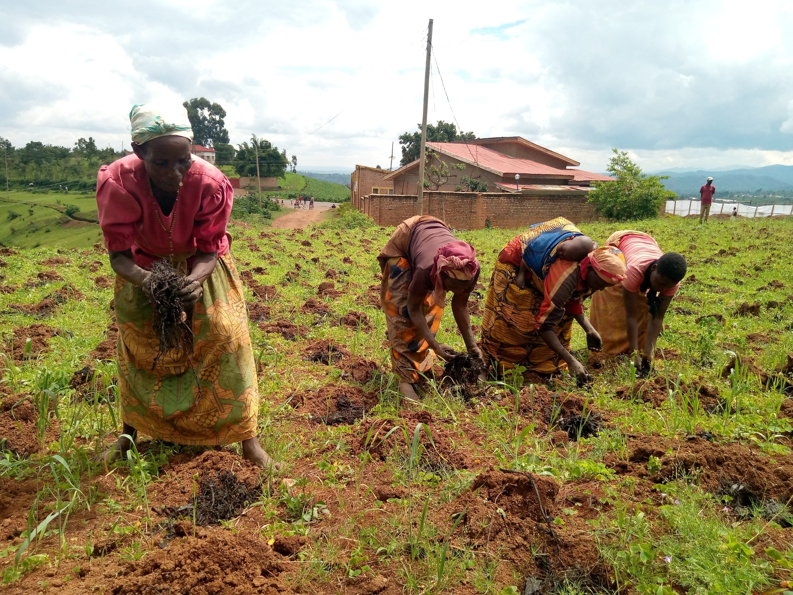 market gardening feature scaled 1